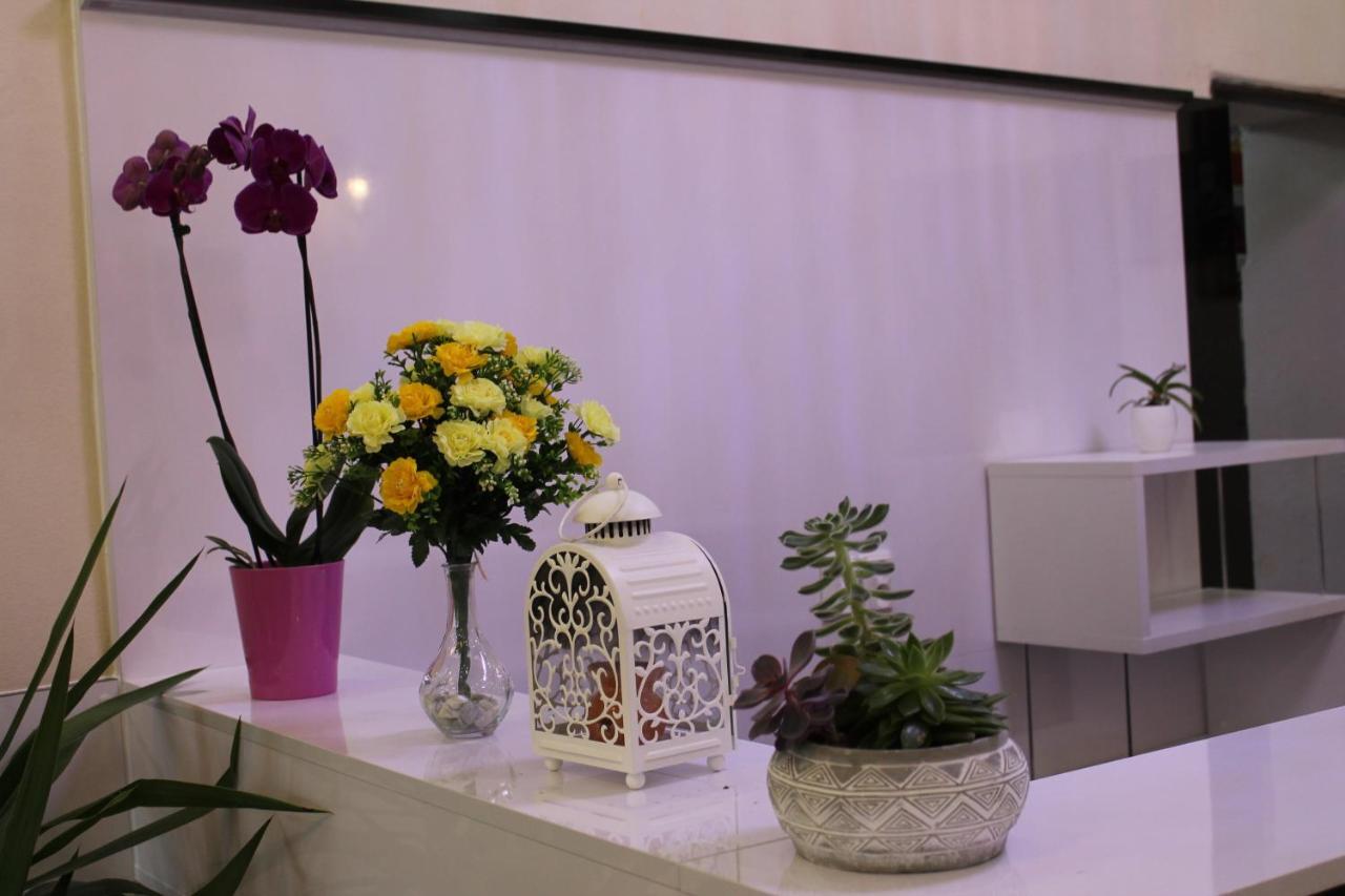 Pension Tv Planá Εξωτερικό φωτογραφία